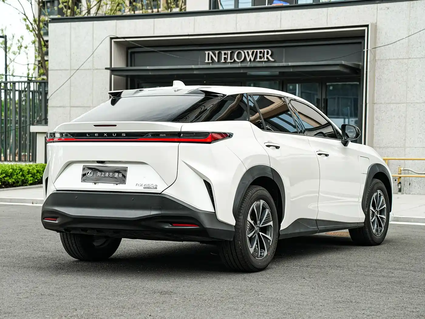 Lexus RZ 2023 450e 4WD Deluxe фото 4
