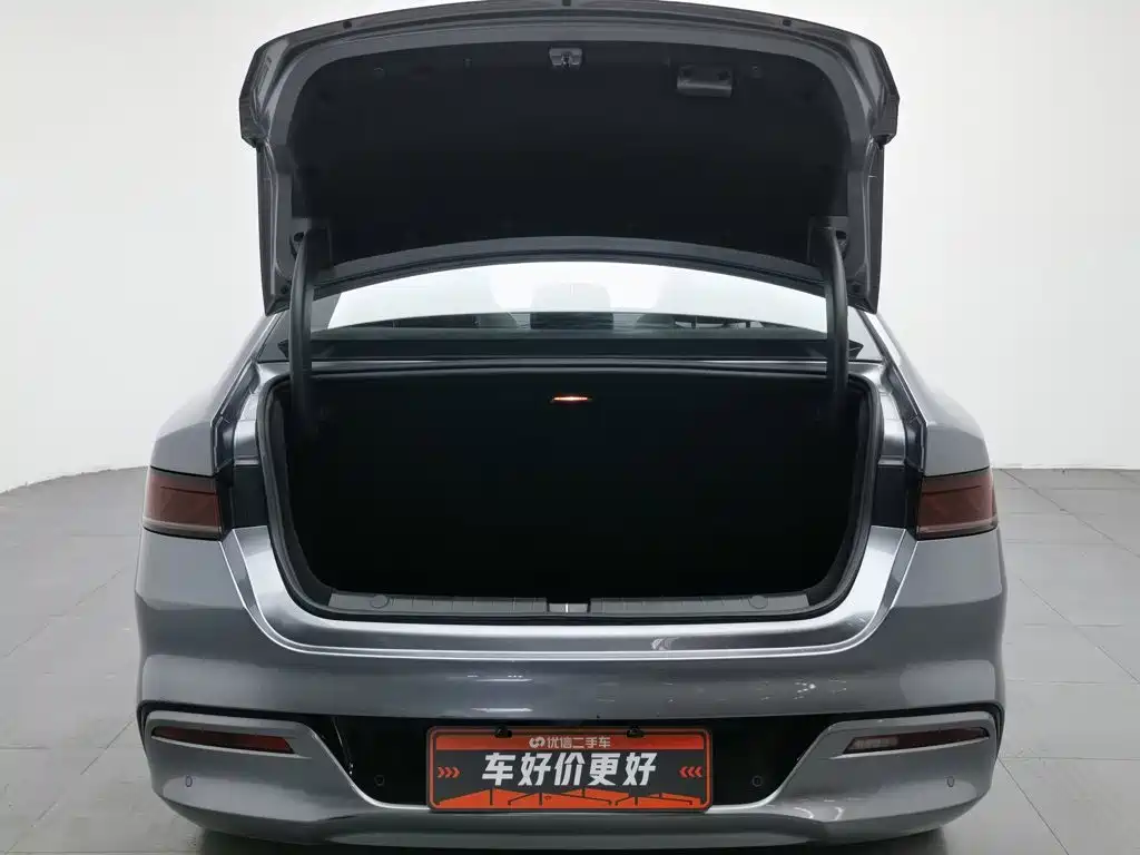 BYD Qin PLUS 2021 2021 EV 400KM Luxury Model