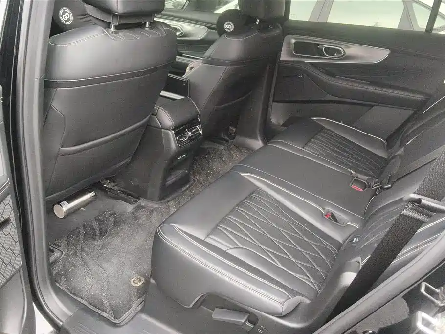 GAC Trumpchi Trumpchi GS8 2025 Pilot Series 2.0TGDI 2WD Luxury Edition 5-seater фото 11