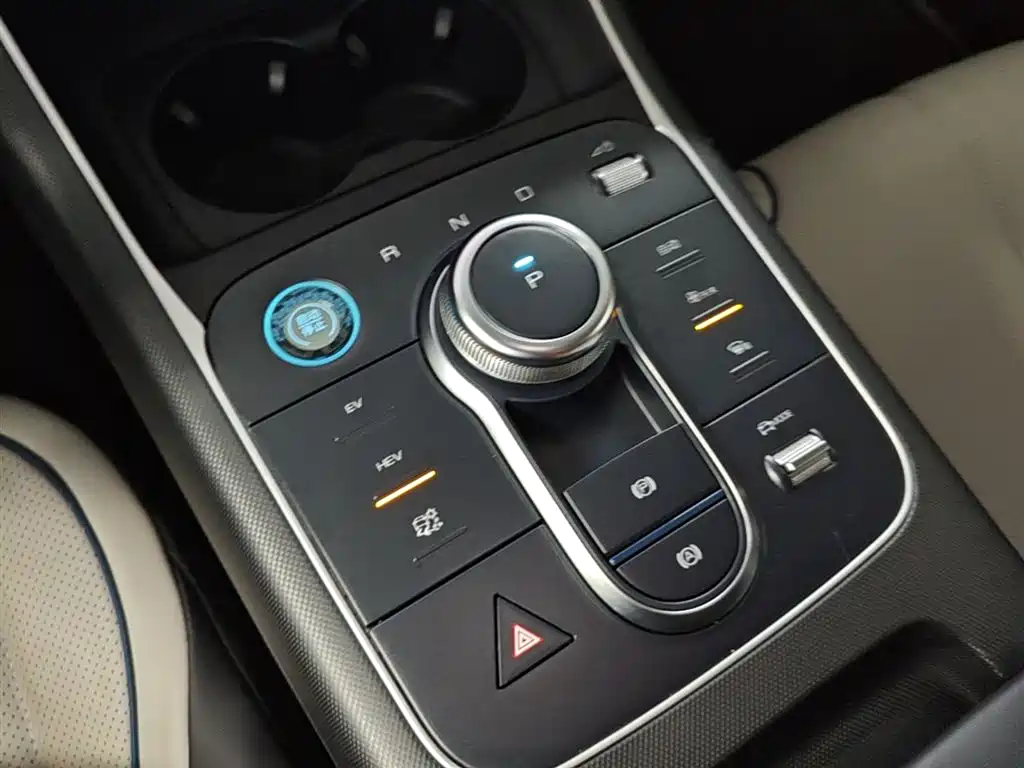 BYD Destroyer 05 2024 Glory Edition DM-i 55KM Luxury фото 14