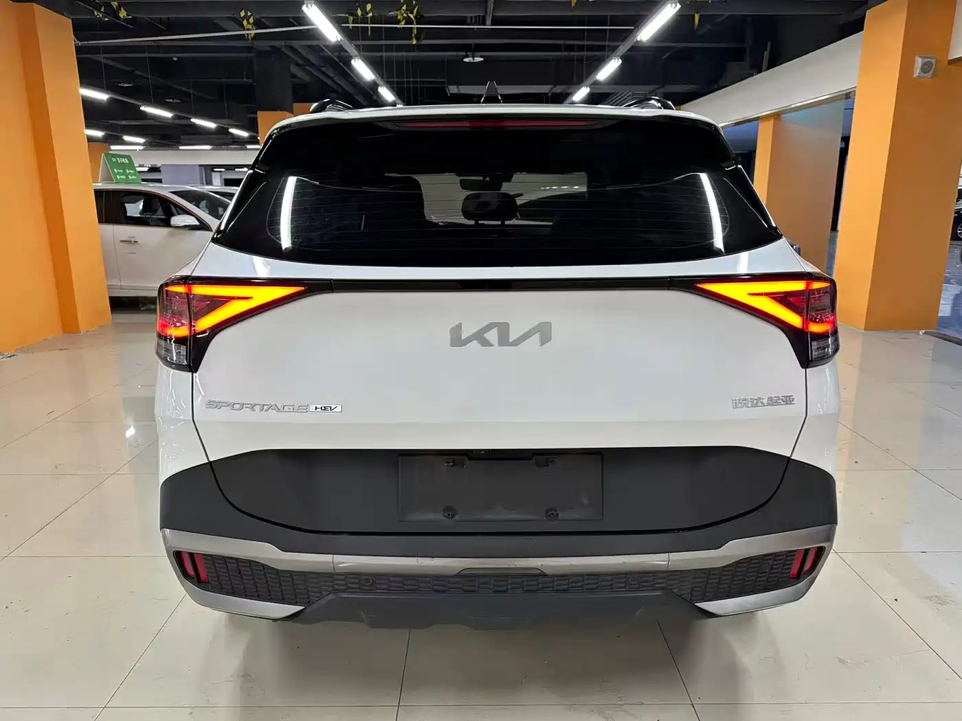 KIA LION PLATINUM EXPANDS THE WORLD