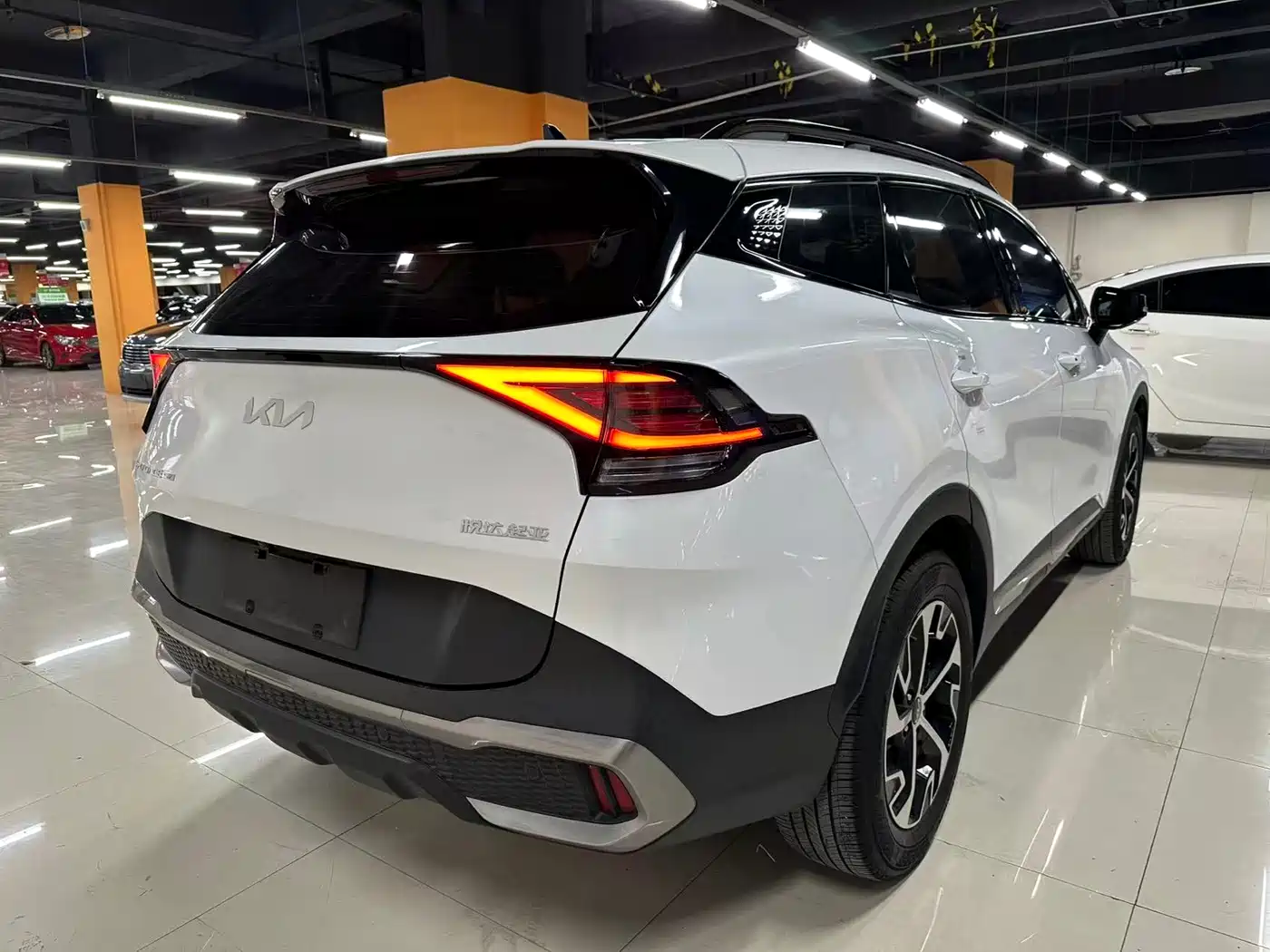 KIA LION PLATINUM EXPANDS THE WORLD