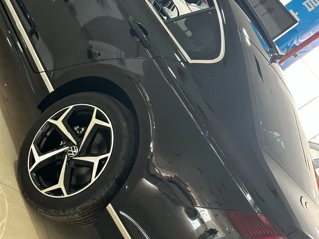 Volkswagen Magotan 2025 Popular Edition 330TSI DSG Luxury фото 24