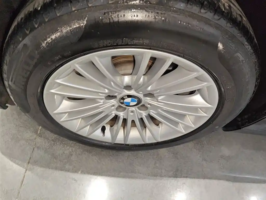 BMW 5 Series 2014 525Li Leading фото 23
