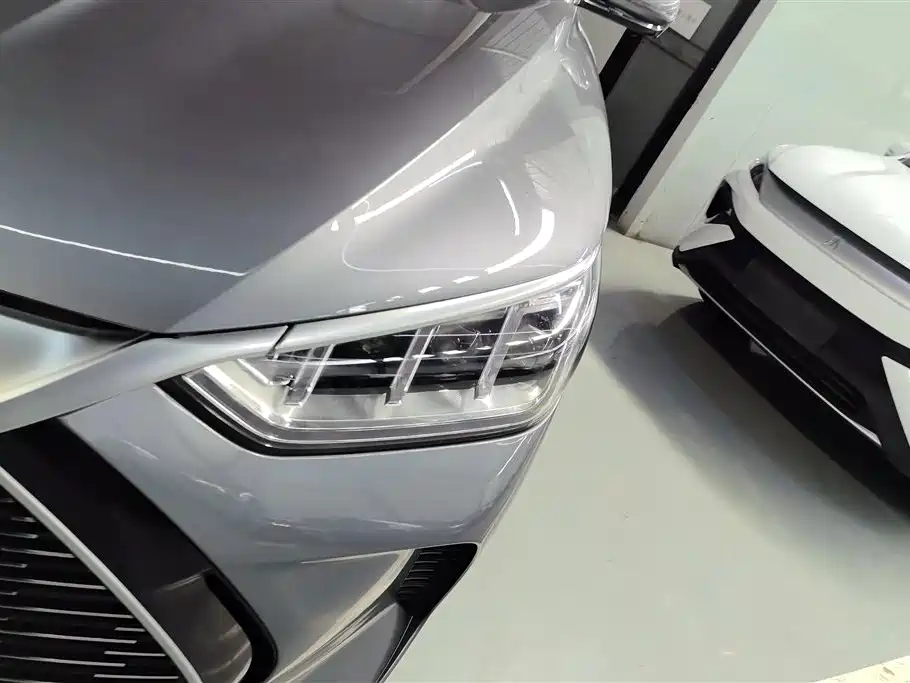 BYD Song PLUS PHEV 2021 DM-i 51KM Honor фото 5