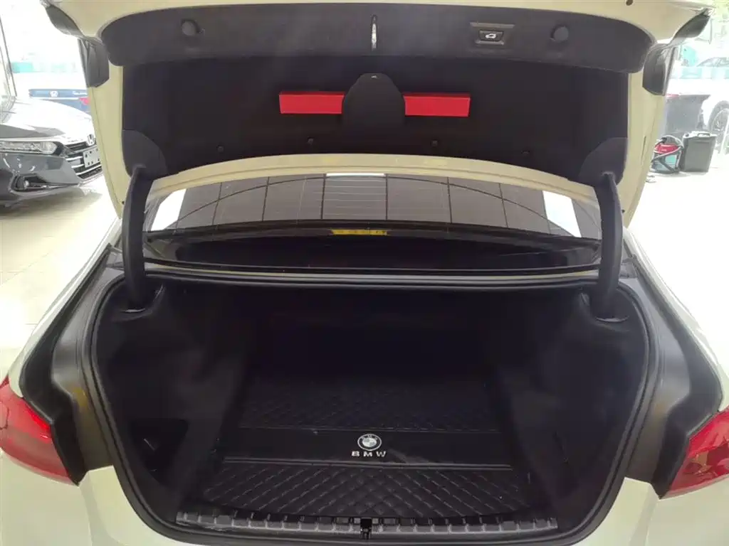 BMW 5 Series 2019 525Li M Sport Package фото 19