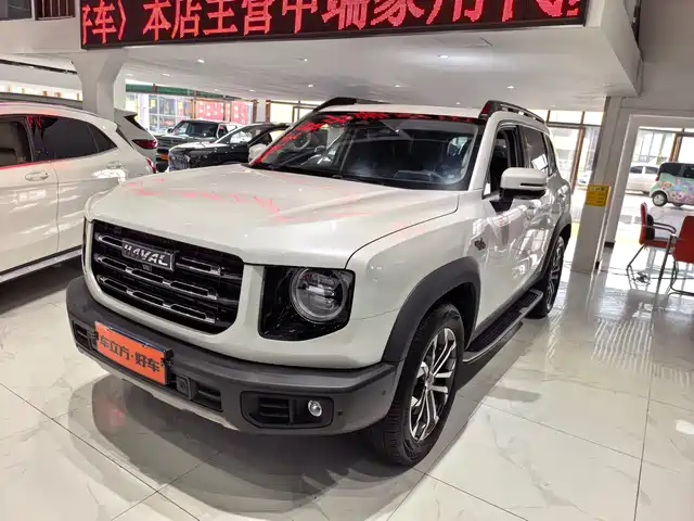 HAVAL BIG DOG