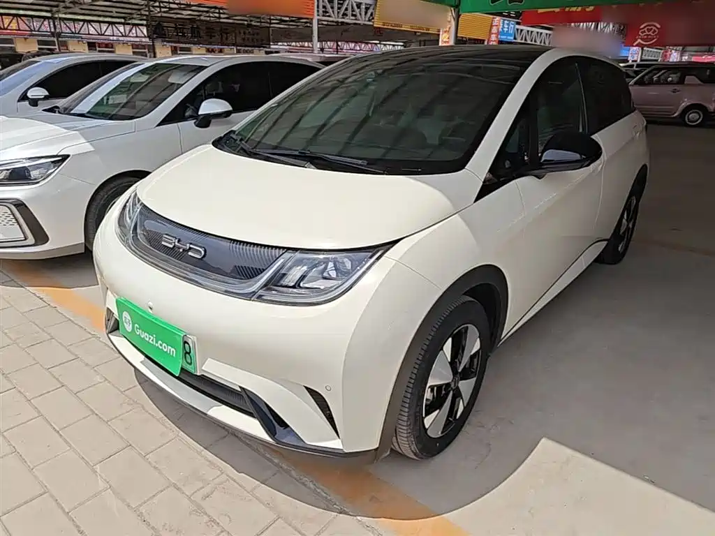 BYD Dolphin 2023 420km Fashion Edition фото 2