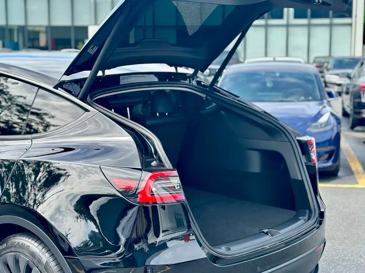 Tesla Model Y 2021 2021 Standard Range Rear-Wheel Drive