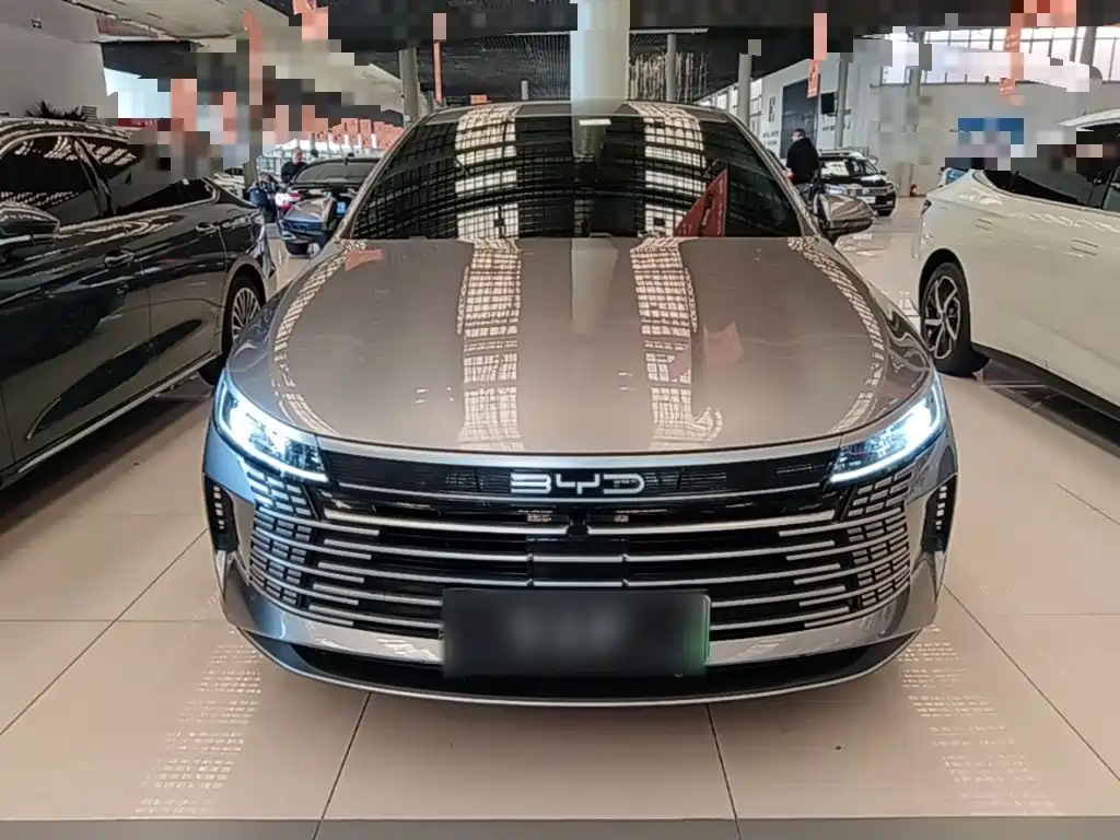 BYD Destroyer 05 2024 2024 Glory Edition DM-i 55KM Luxury