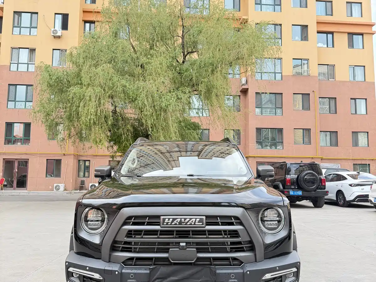 Haval Big Dog 2022 2.0T DCT 4WD Chinese Rural Dog Hunting Edition фото 2