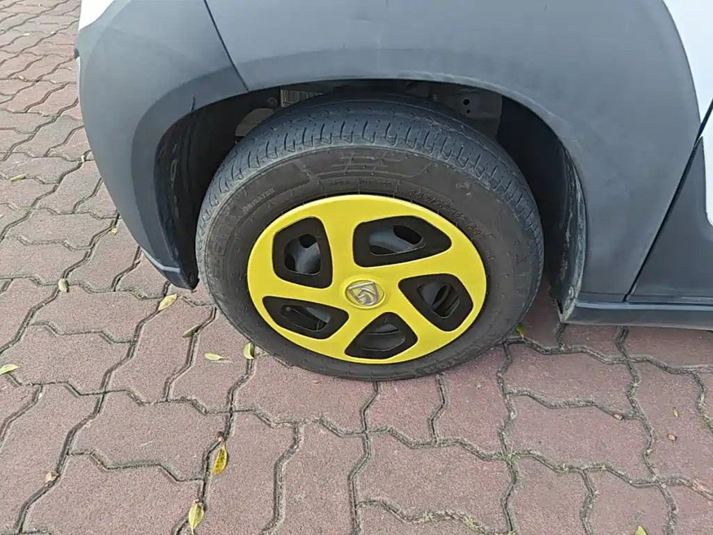 Baojun E100 2021 2020 305KM Intelligent Edition