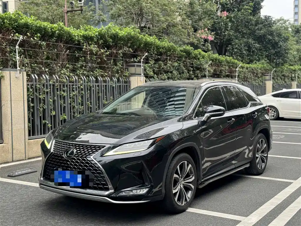 Lexus RX 2020 300 AWD F SPORT (China VI)