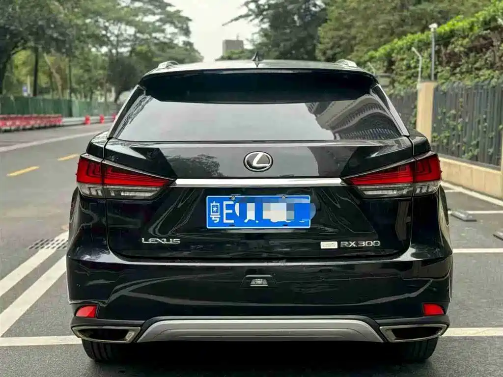 Lexus RX 2020 300 AWD F SPORT (China VI) фото 5