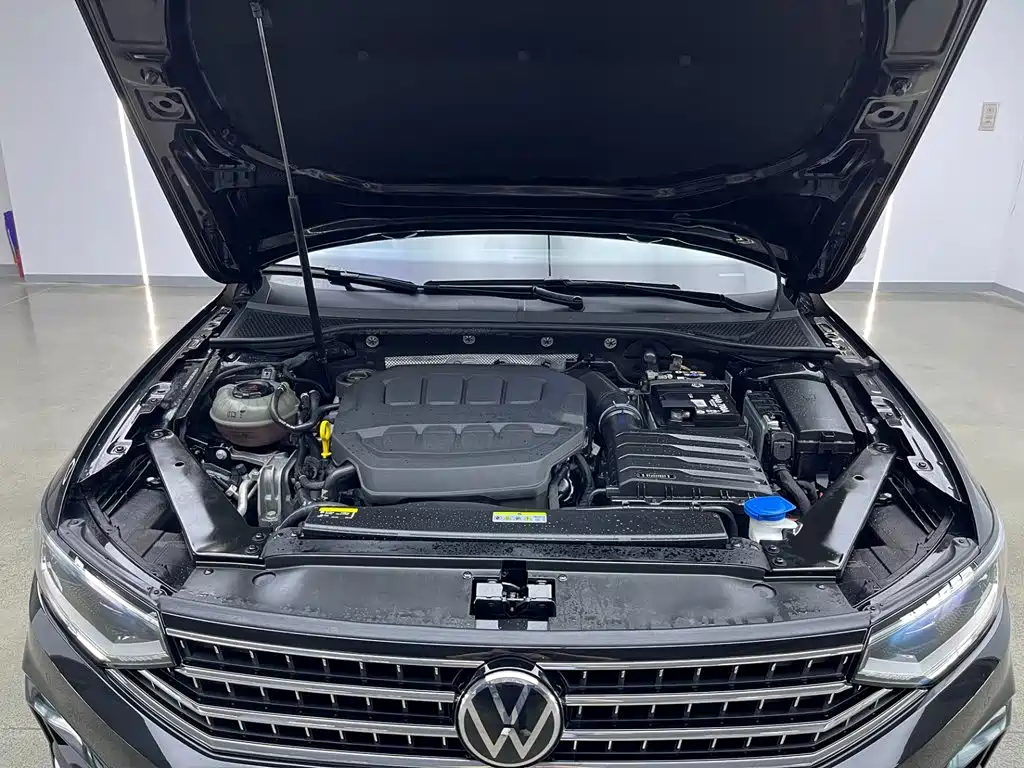 Volkswagen Magotan 2026 2026 Model 30 Million Special Selection 380TSI DSG Luxury