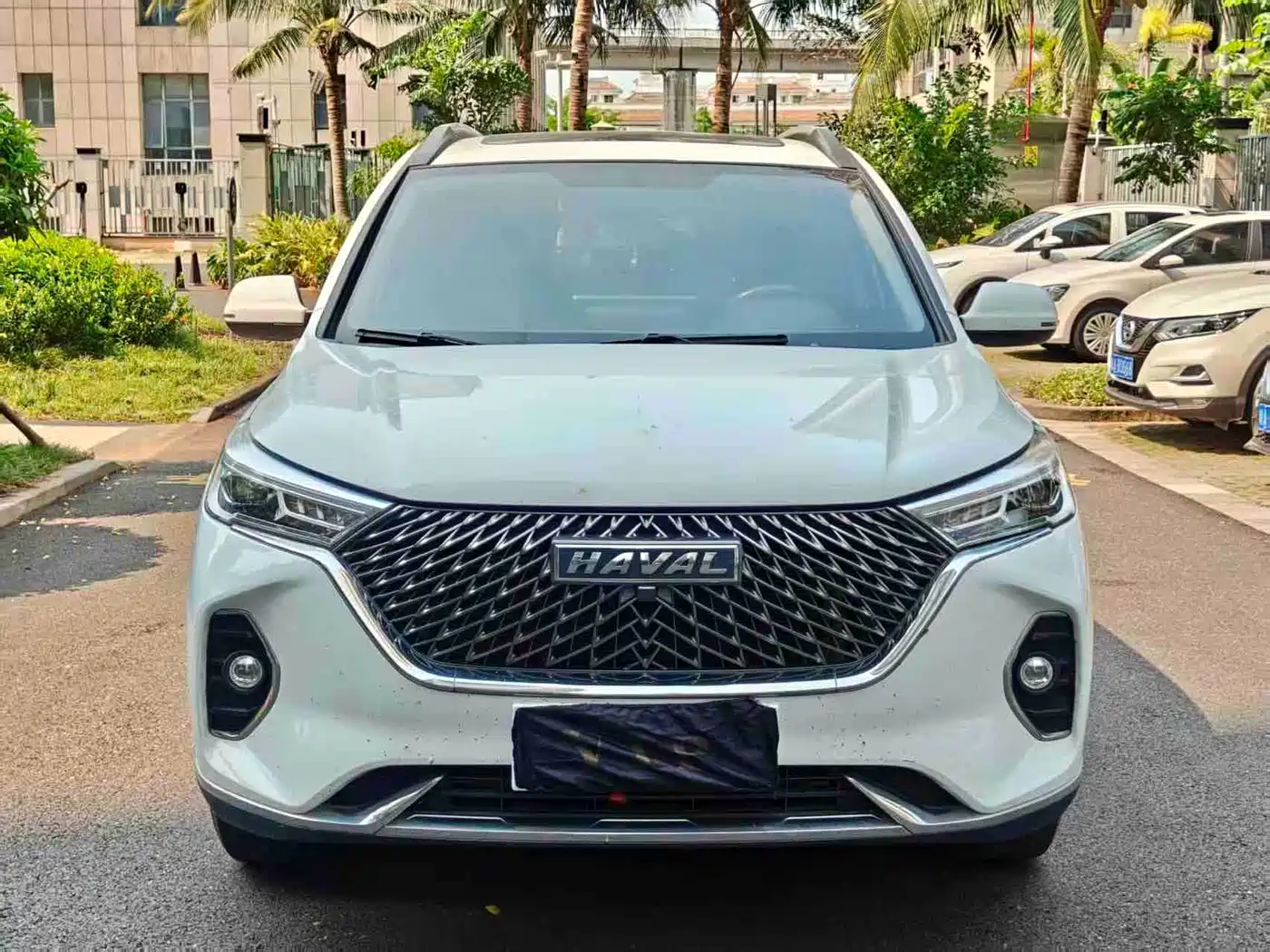 HAVAL M6