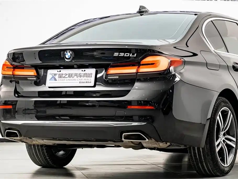 BMW 5 Series 2021 Facelift 530Li Leading Luxury Package фото 7