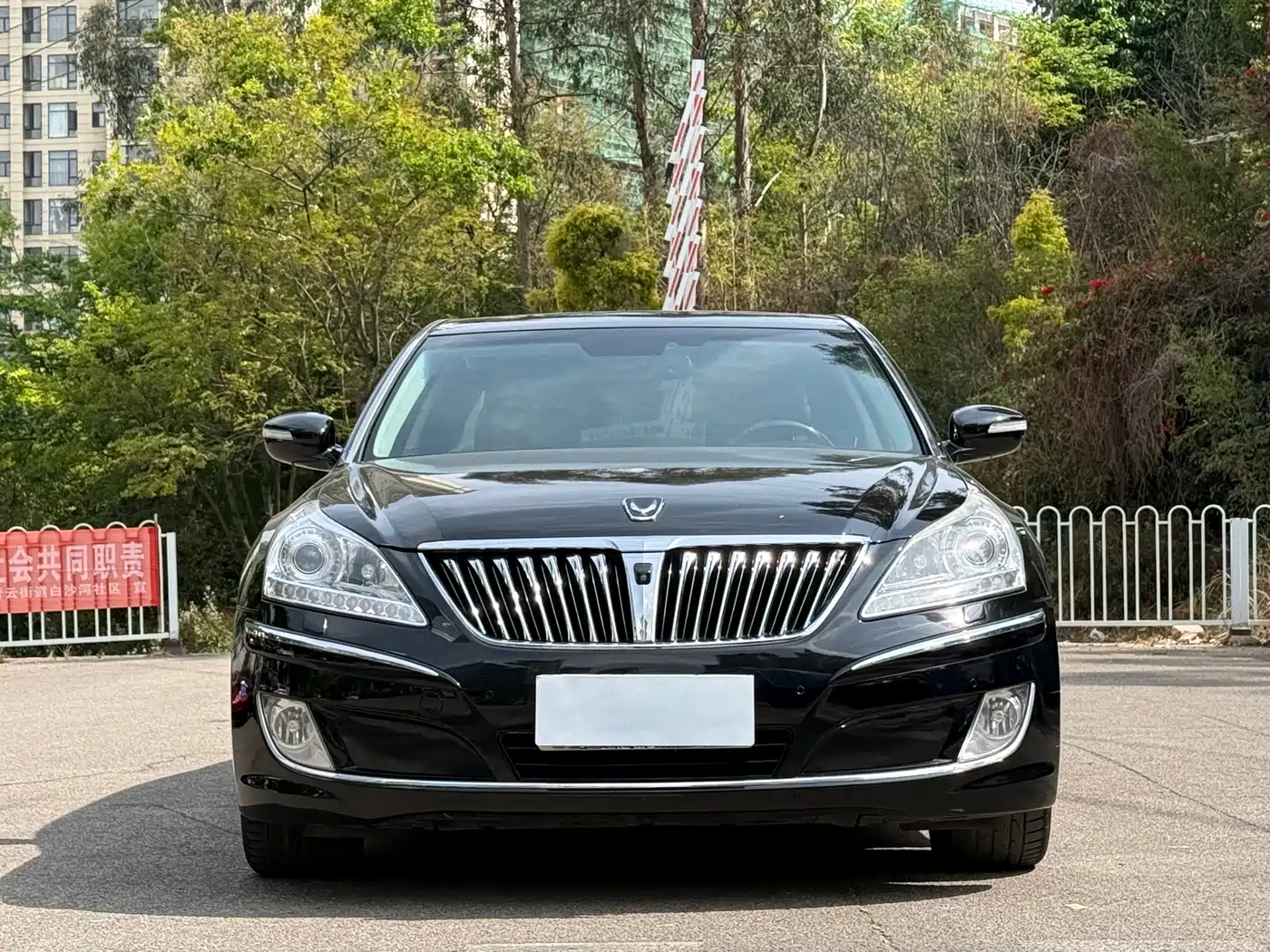 Hyundai Equus 2009 3.8 Premium Edition фото 2
