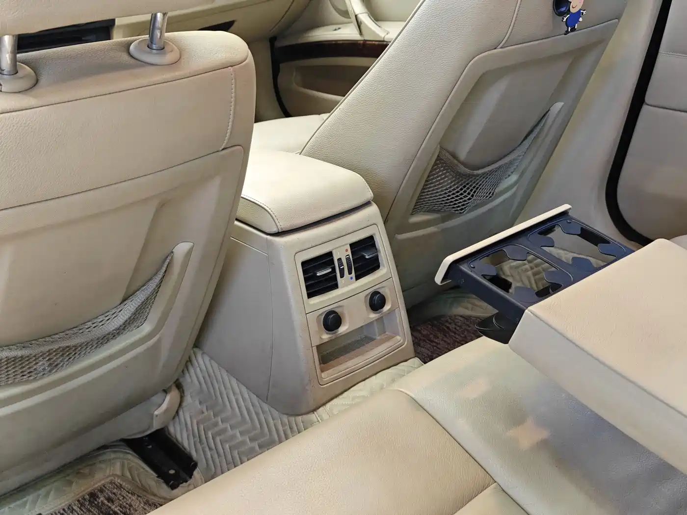 BMW 3 Series 2010 320i Luxury фото 25