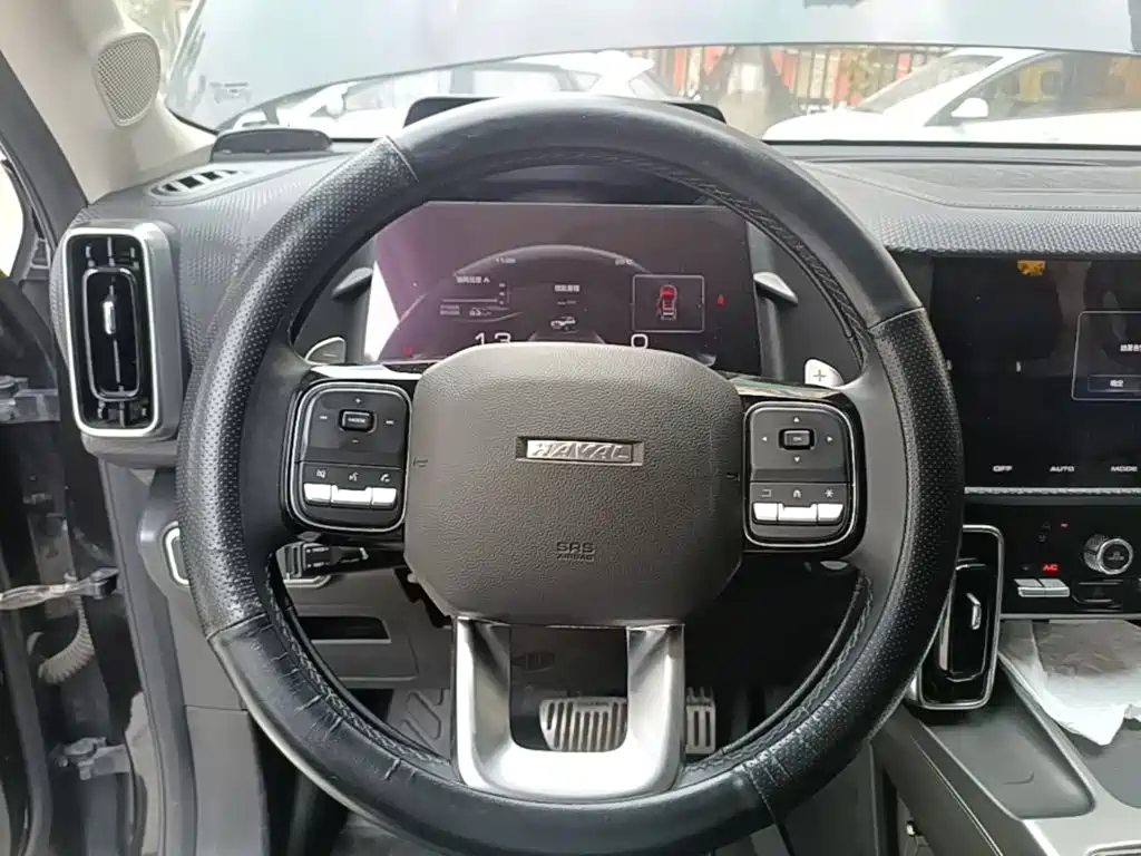 Photo 11 - Haval Dargo