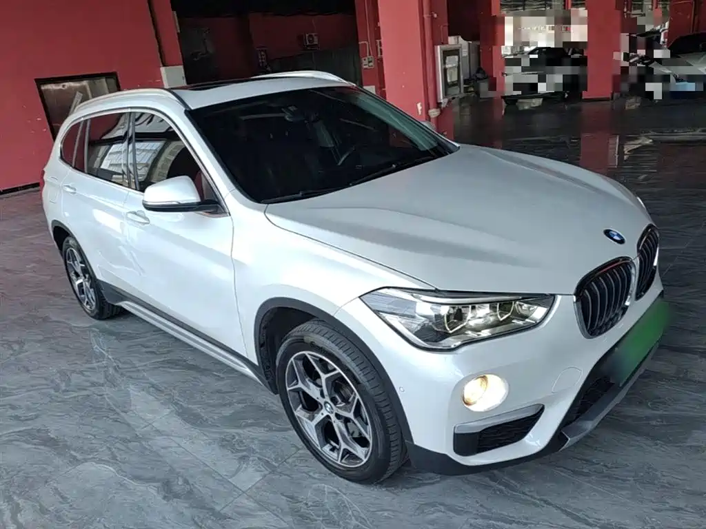 BMW X1 2019 xDrive20Li Premium Model фото 4