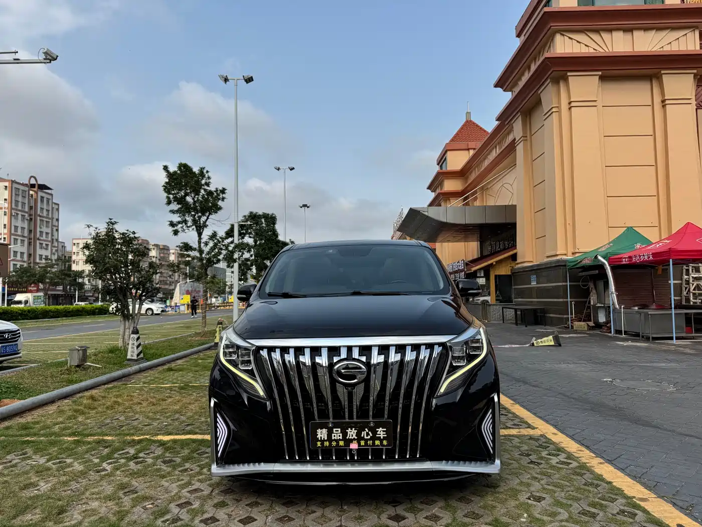 GAC Trumpchi Trumpchi M8 2018 320T Premium Edition фото 2