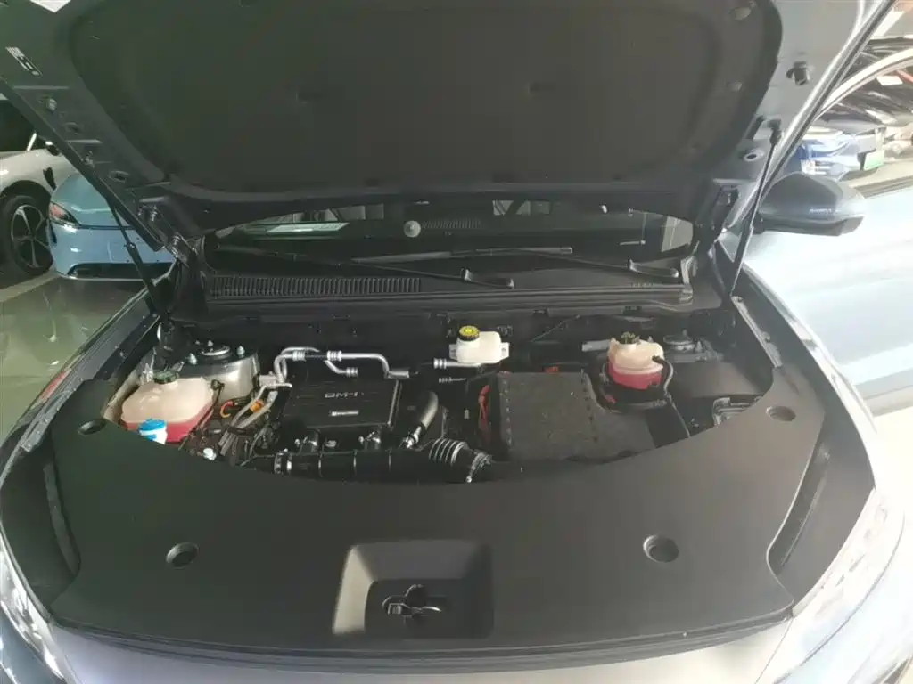 BYD Song Pro New Energy 2025 2nd Generation Smart Drive Edition DM-i 115KM Surpassing Type фото 20