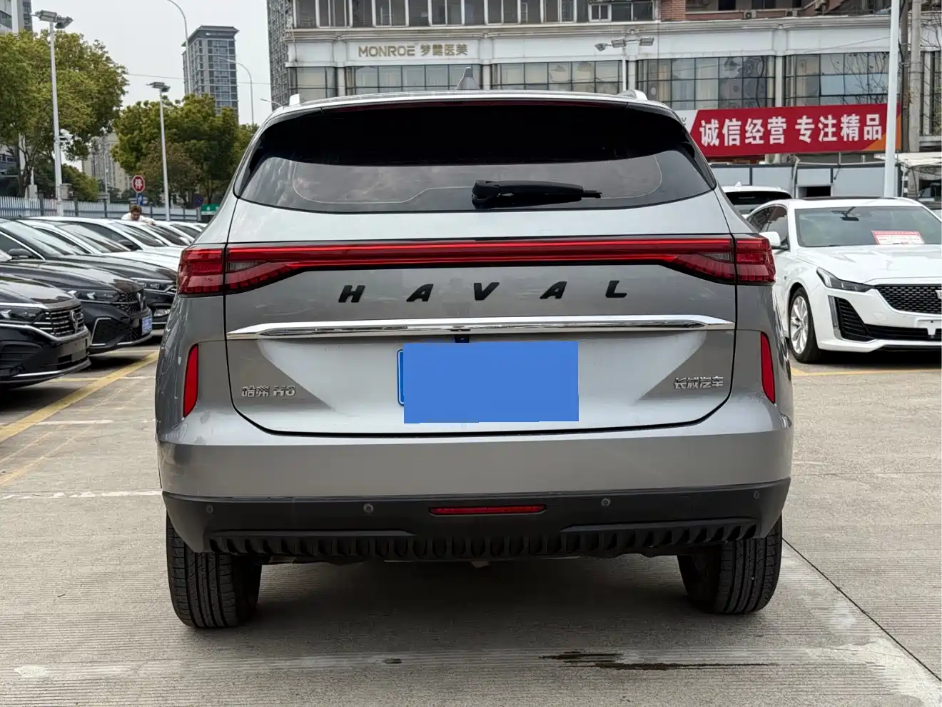 HAVAL H6
