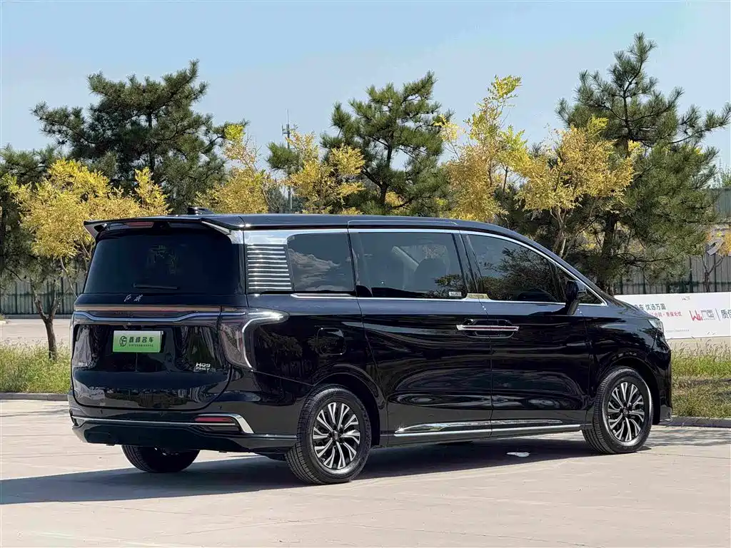 Photo 35 - Hongqi HQ9 PHEV