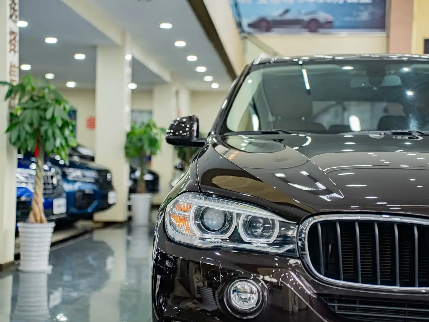BMW X5 (Import) 2014 xDrive35i Elegance фото 11
