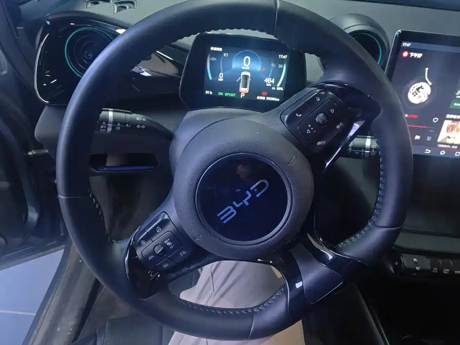Photo 15 - BYD Dolphin