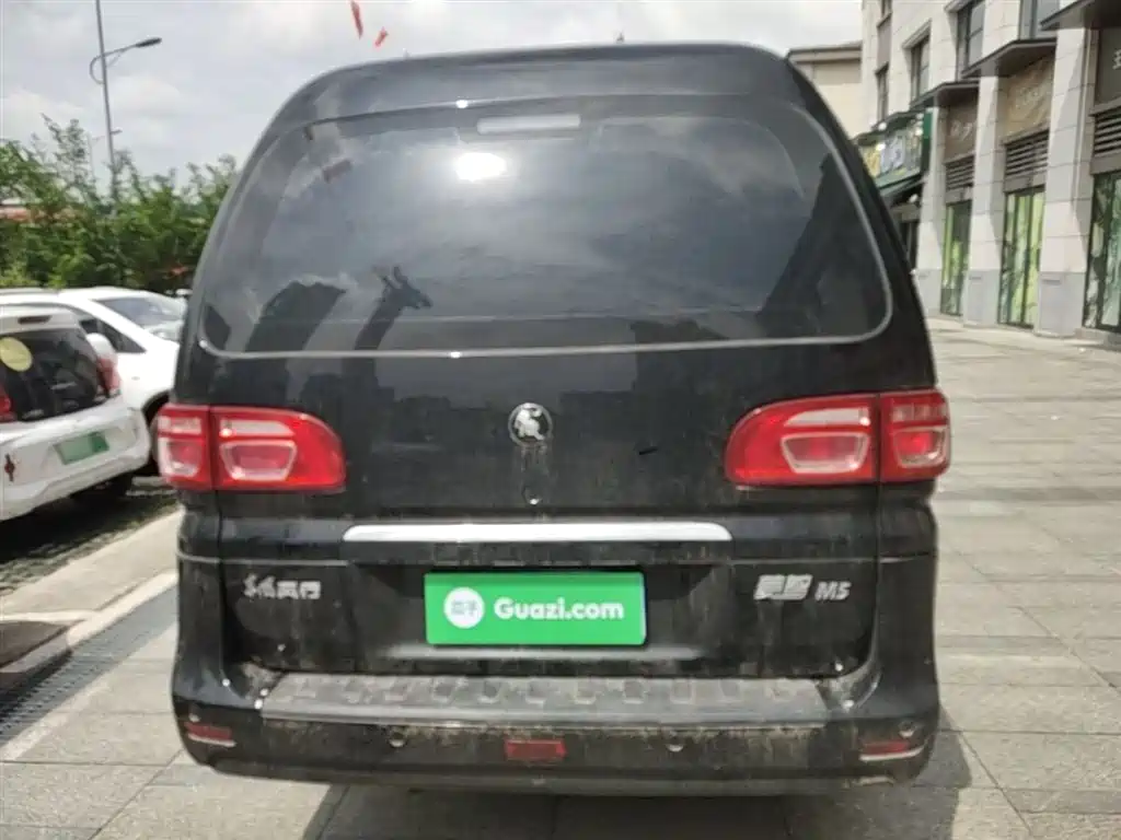 DONGFENG POPULAR LINGZHI