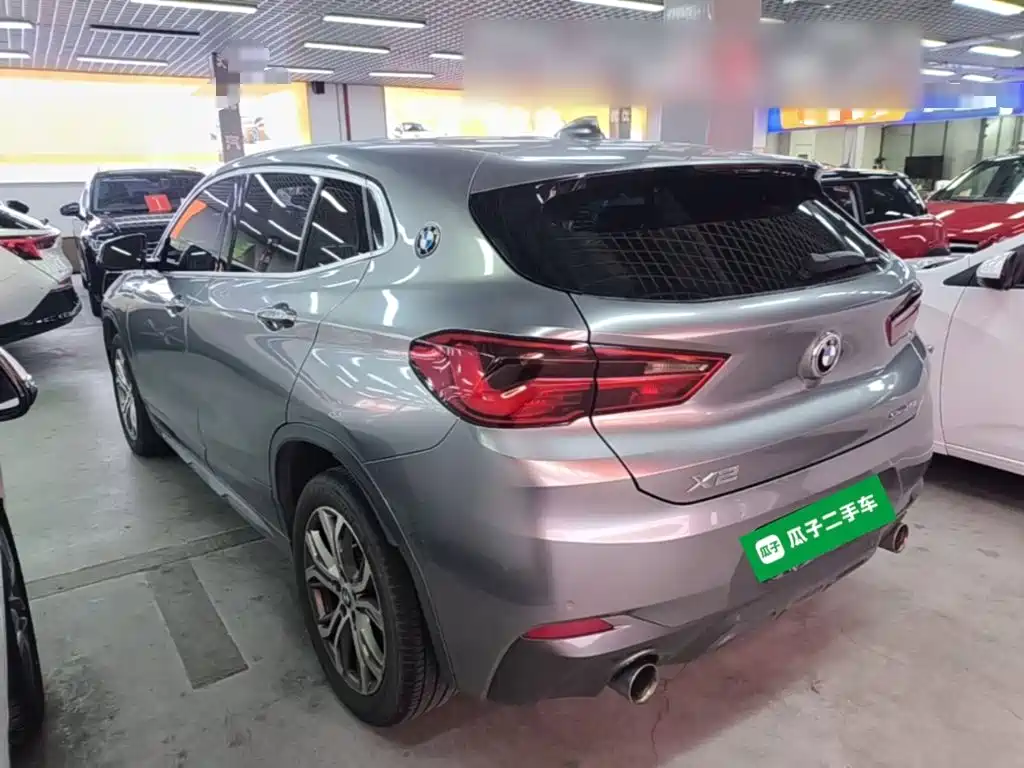 BMW X2 (Import) 2019 2018 sDrive25i Leading M Off-road Package China V