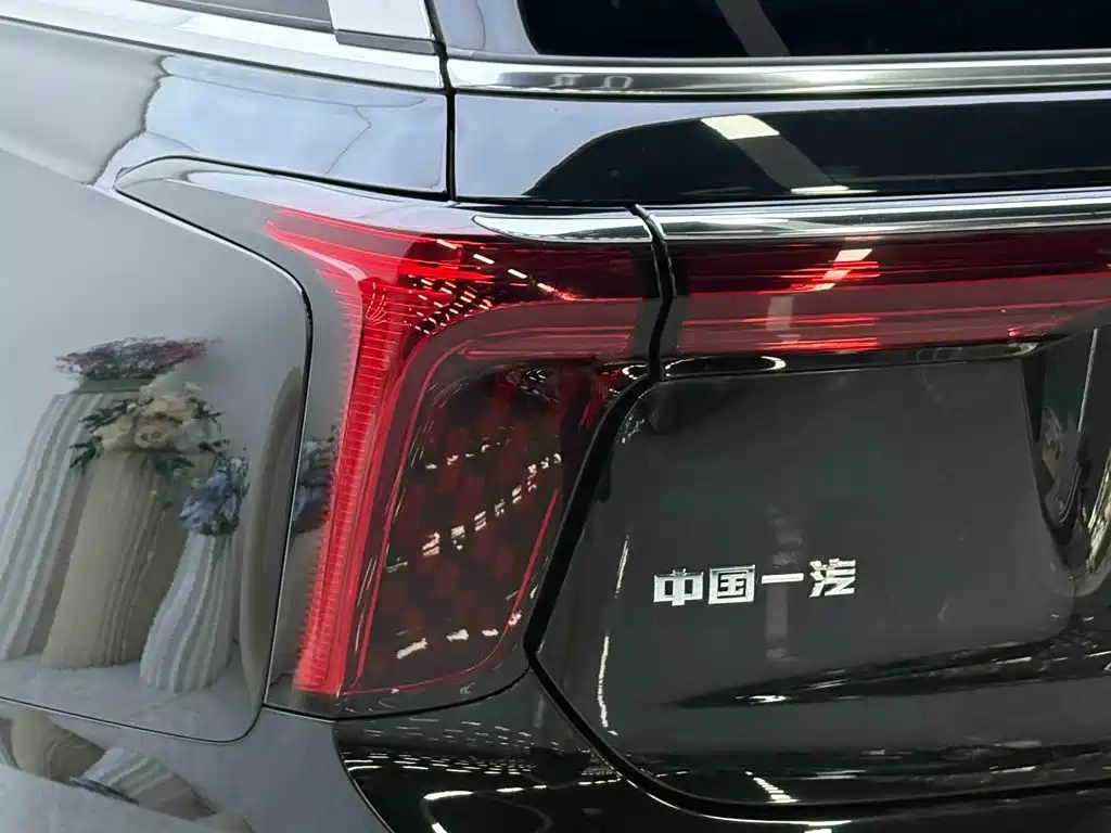 Hongqi E-HS9 2023 2022 690km Qi Xiang Edition (6-seater)