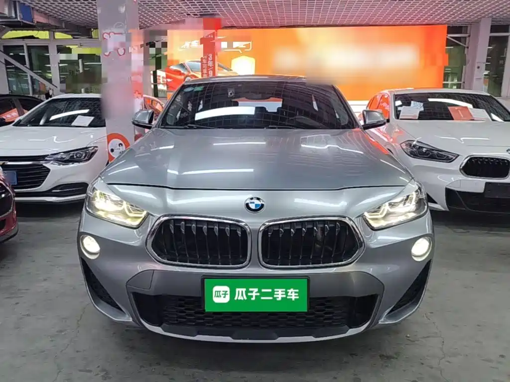 BMW X2 (Import) 2019 2018 sDrive25i Leading M Off-road Package China V