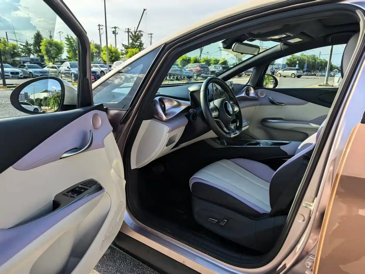 BYD Dolphin 2021 2021 Model 405km Fashion Edition