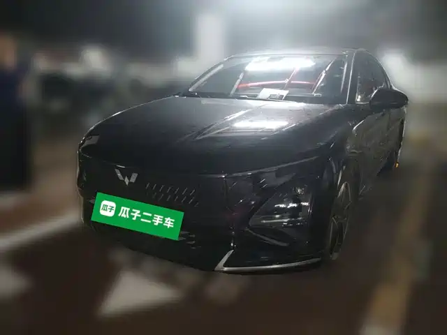 Wuling Motors Wuling Xingguang 2024