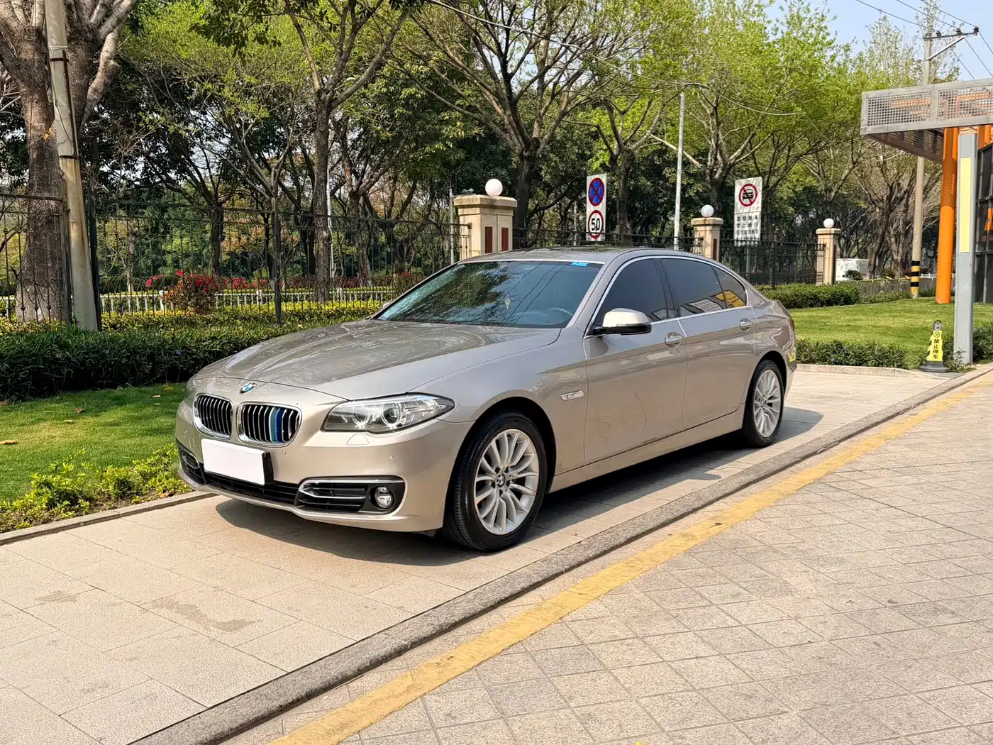 BMW 5 Series 2014 525Li Luxury Design Package