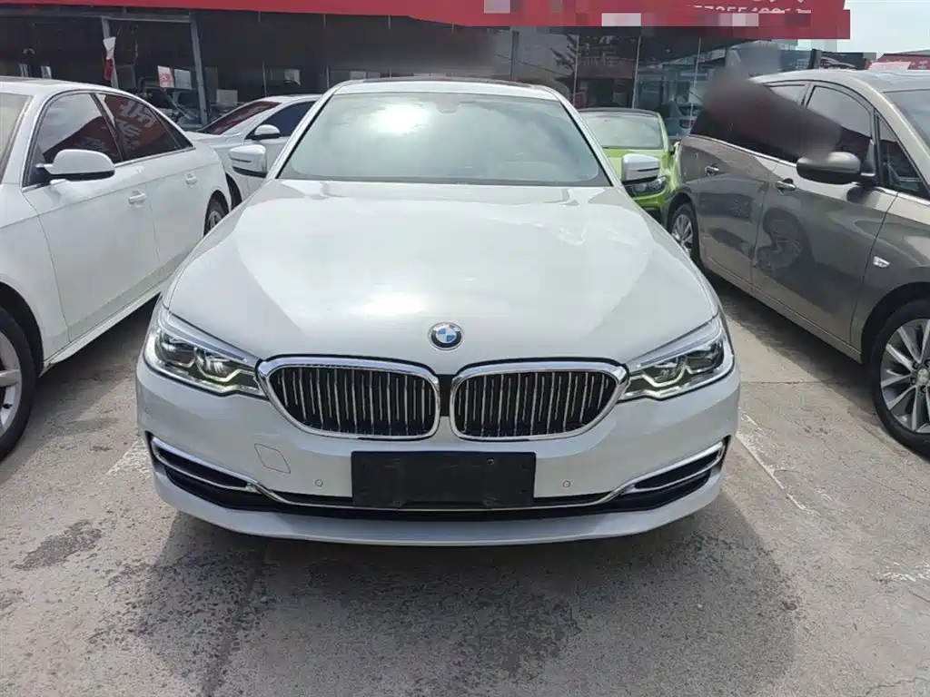 BMW 5 Series 2020 530Li xDrive Luxury Package фото 3