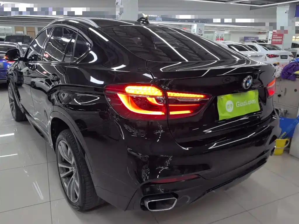 BMW X6 2018 xDrive35i M Sport Luxury Model фото 24