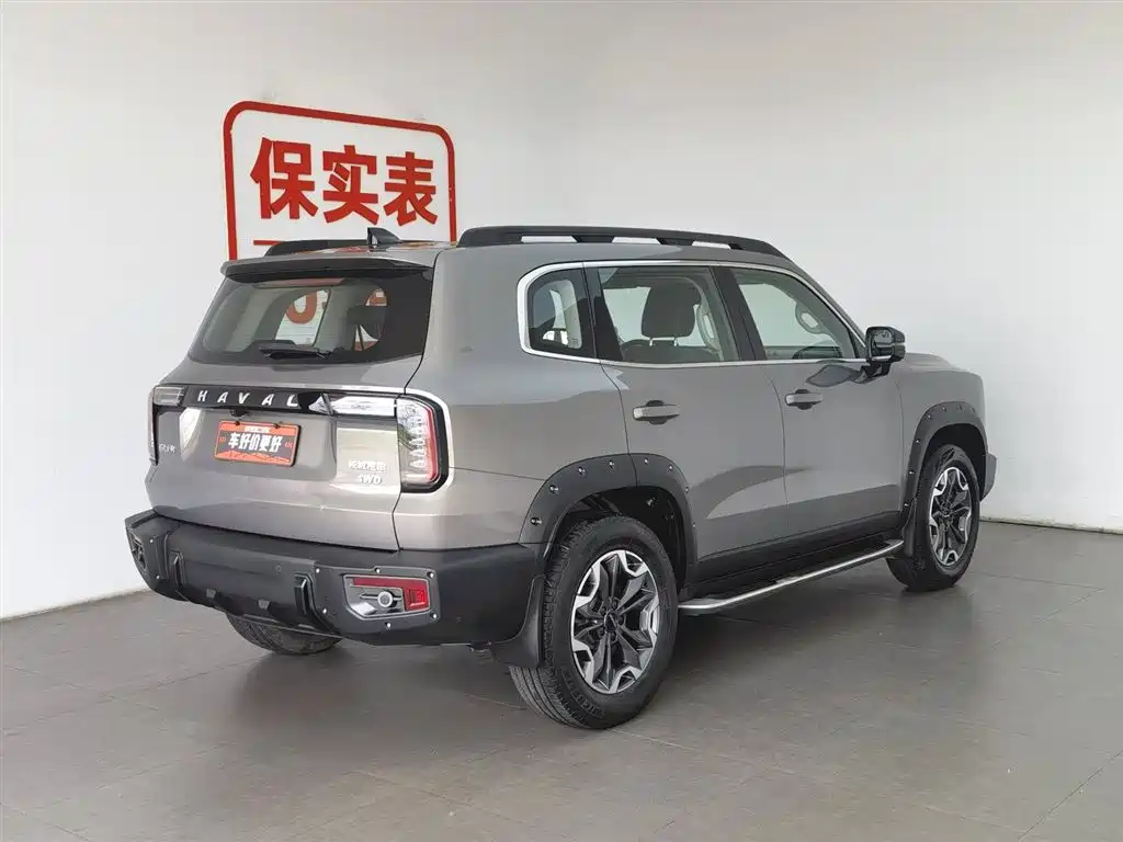 Haval Big Dog 2022 2.0T DCT 4WD Chinese Rural Dog Hunting Edition фото 2