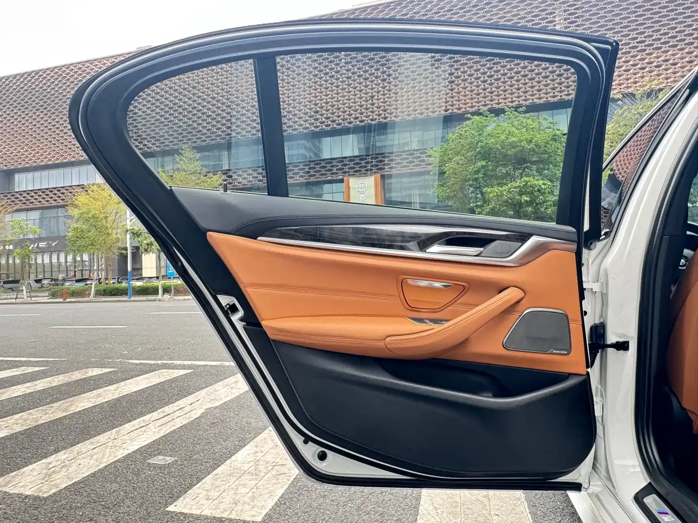 BMW 5 Series 2019 530Li Leading M Sport Package фото 13