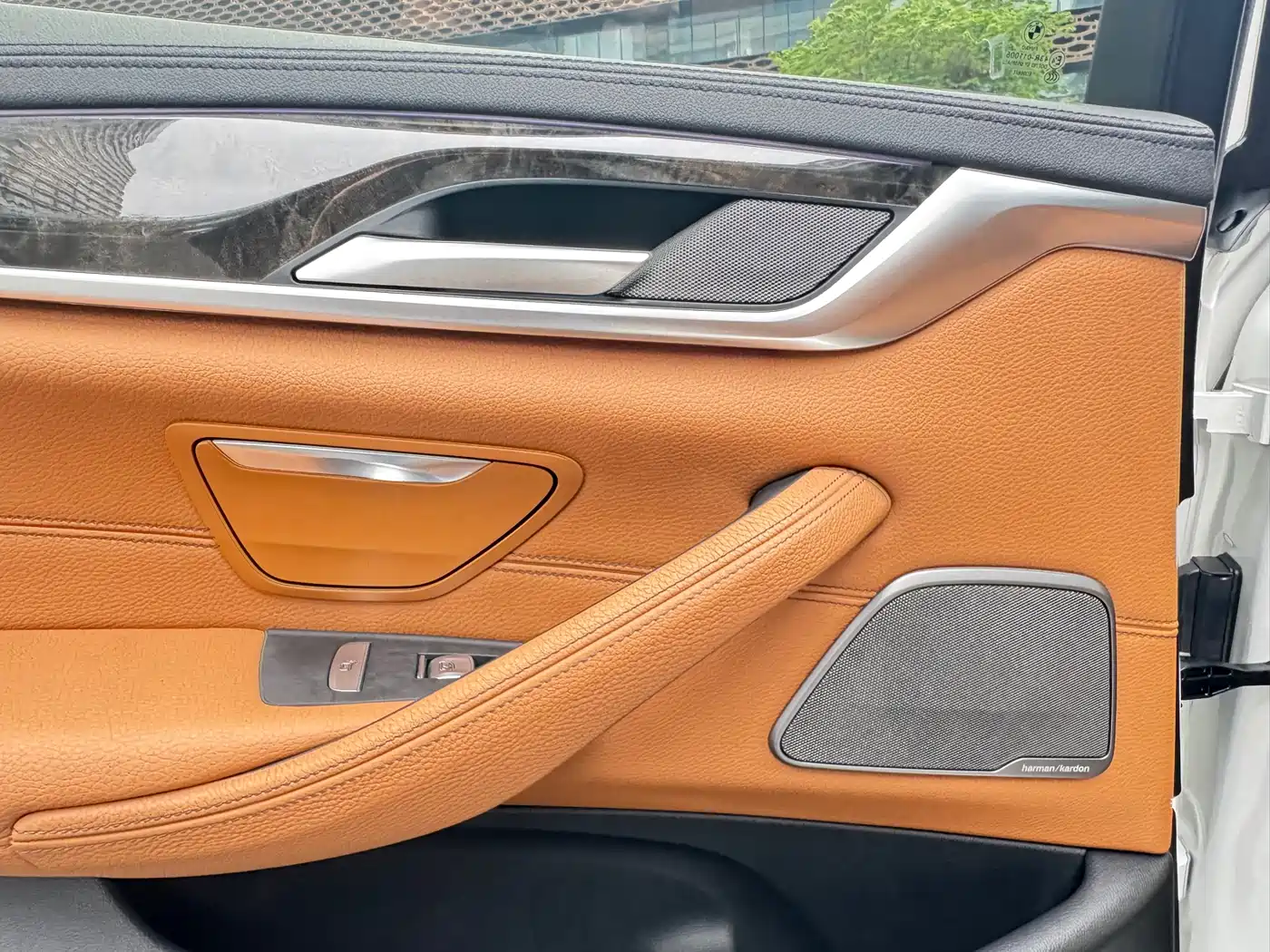 BMW 5 Series 2019 530Li Leading M Sport Package фото 14
