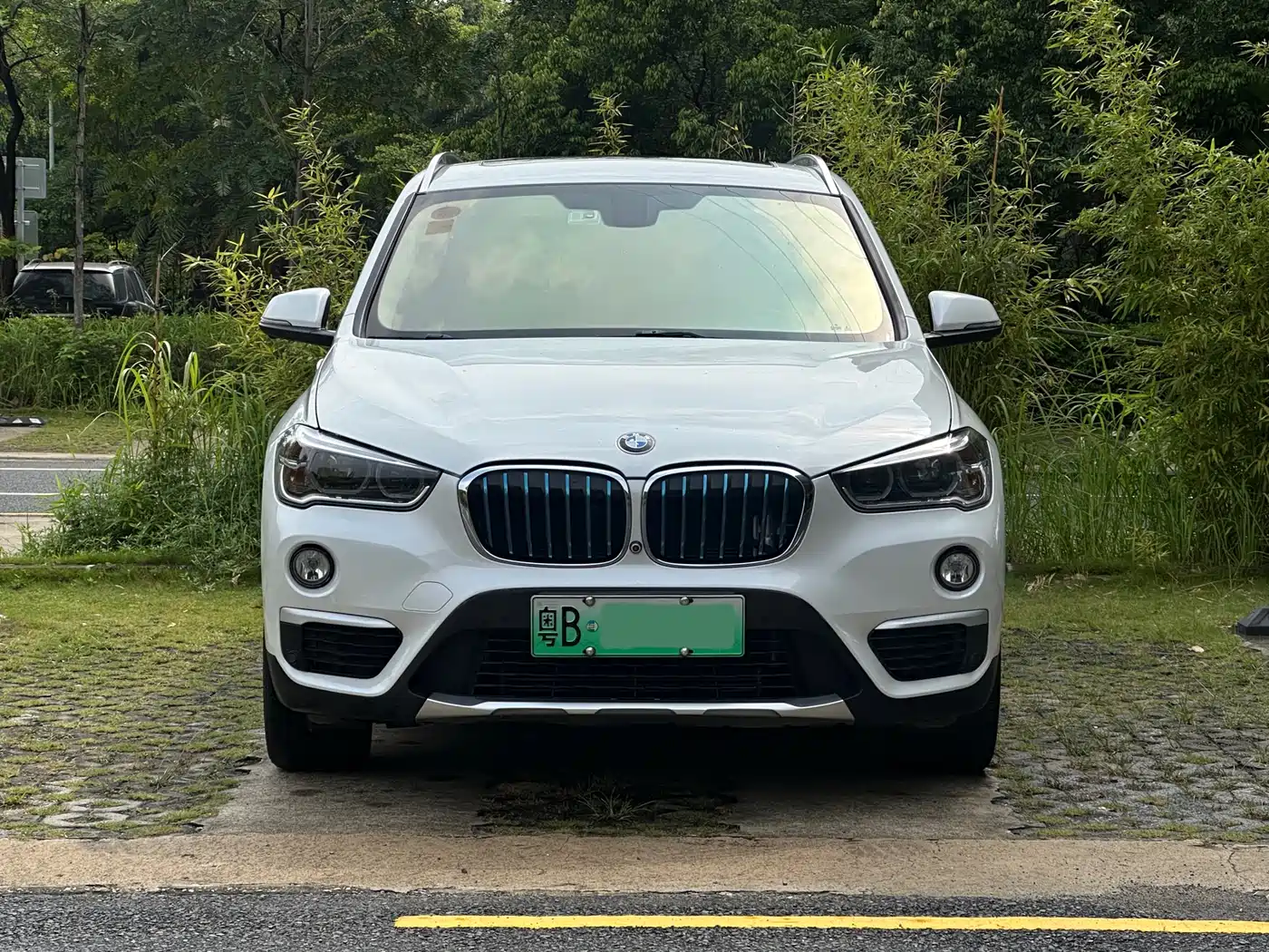 BMW X1 New Energy 2018 xDrive25Le Luxury Model фото 3