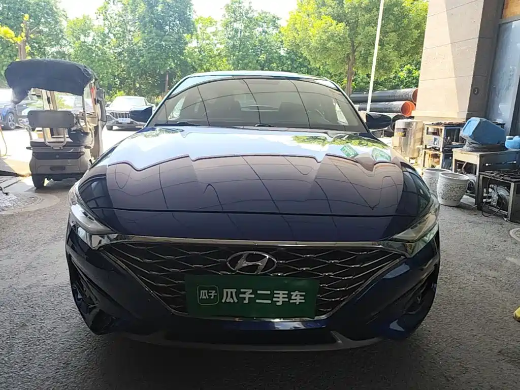 Photo 3 - Hyundai Lafesta