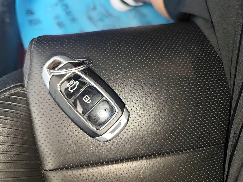 Photo 9 - Hyundai Lafesta