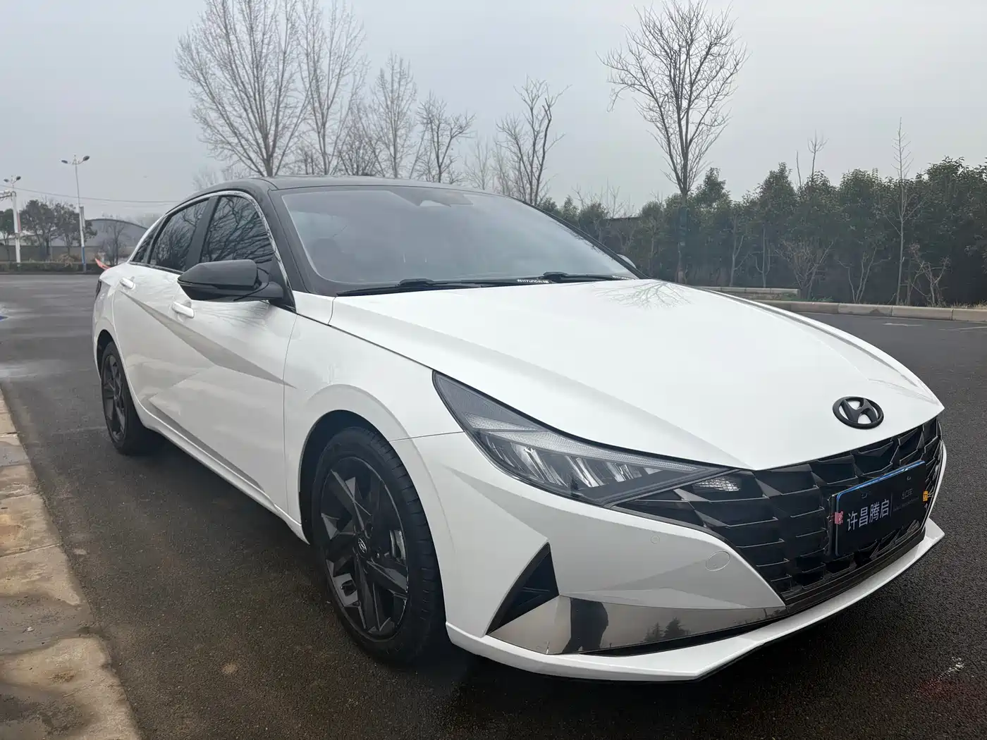 Hyundai Elantra 2022 1.5L CVT LUX Premium Edition фото 3