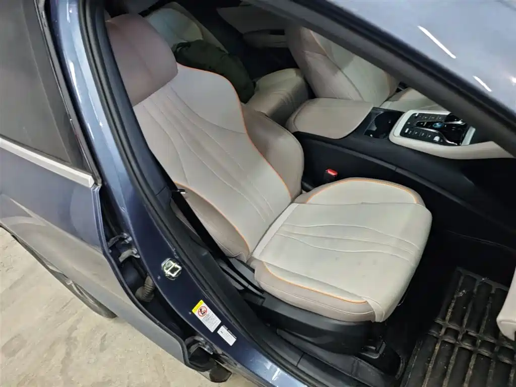 BYD Song Pro New Energy 2023 Champion Edition DM-i 71KM Surpassing Type фото 25