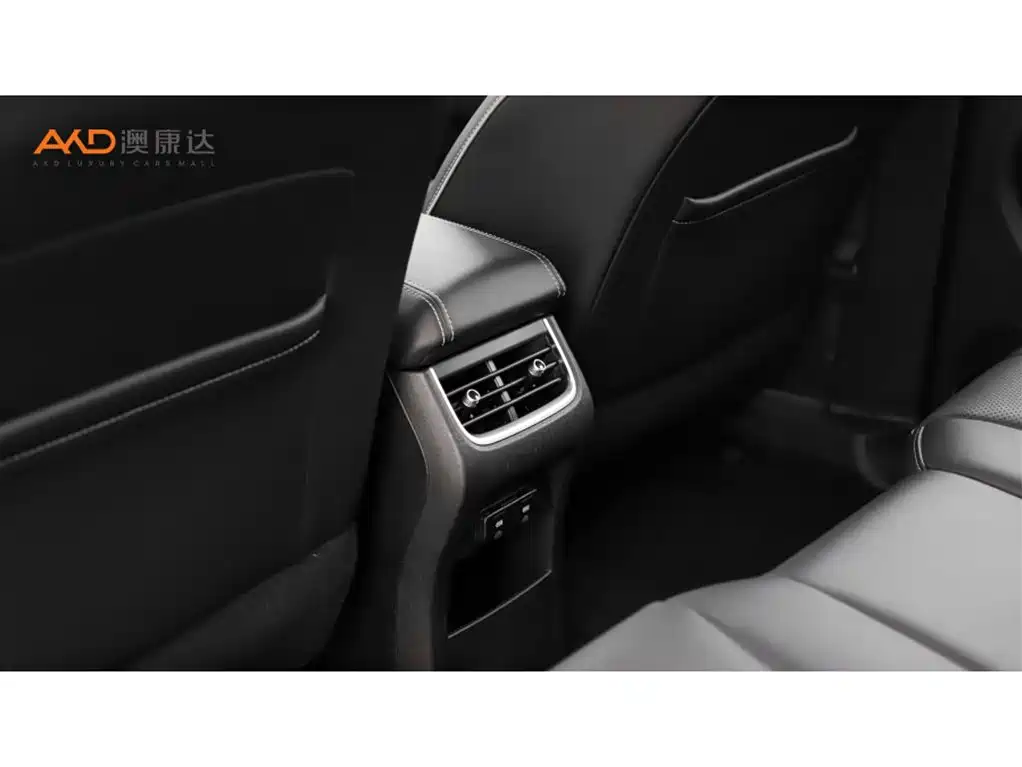 Tank 300 2021 Urban Edition 2.0T Stylish фото 9