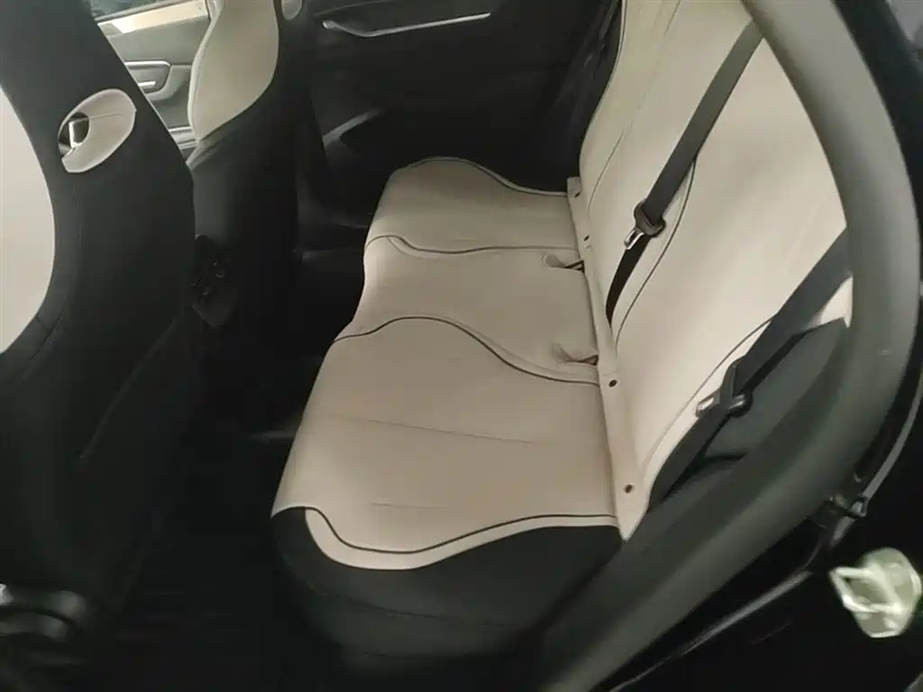 BYD Destroyer 05 2024 Glory Edition DM-i 55KM Luxury фото 17